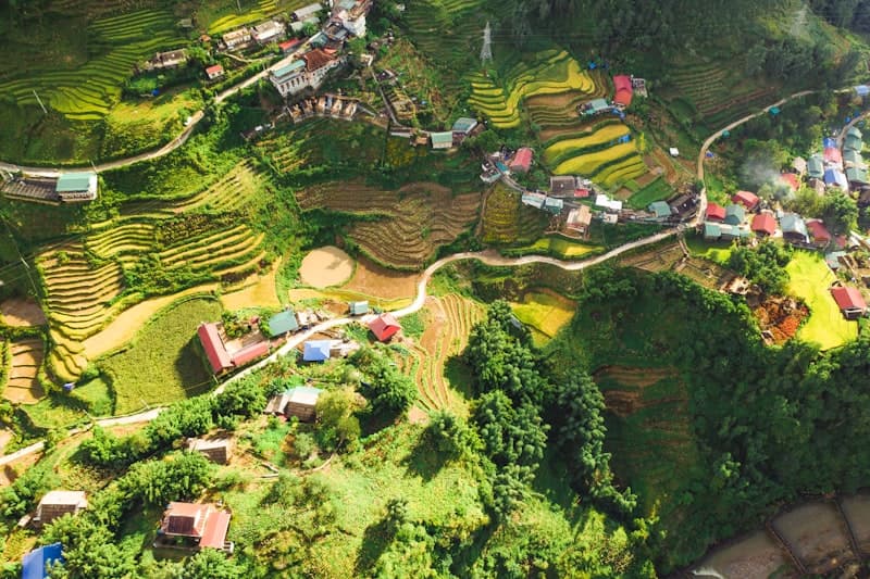 Ruộng bậc thang Sapa